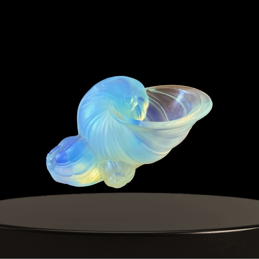 Sabino Shell - Picture 3 of 3